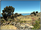 foto Lago Titicaca